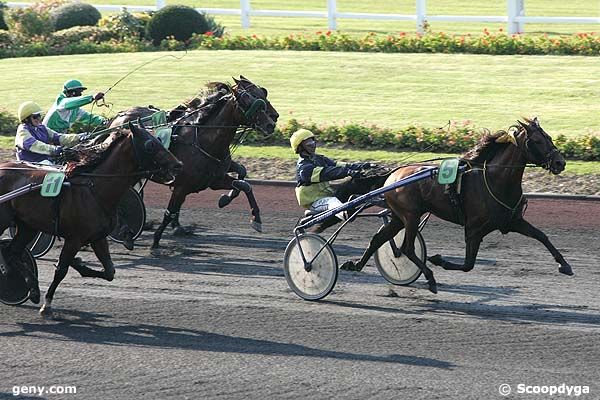 Course de trot