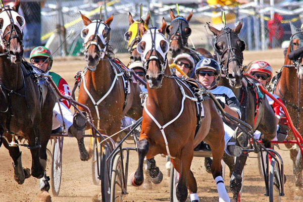 La méthode Gagner aux courses