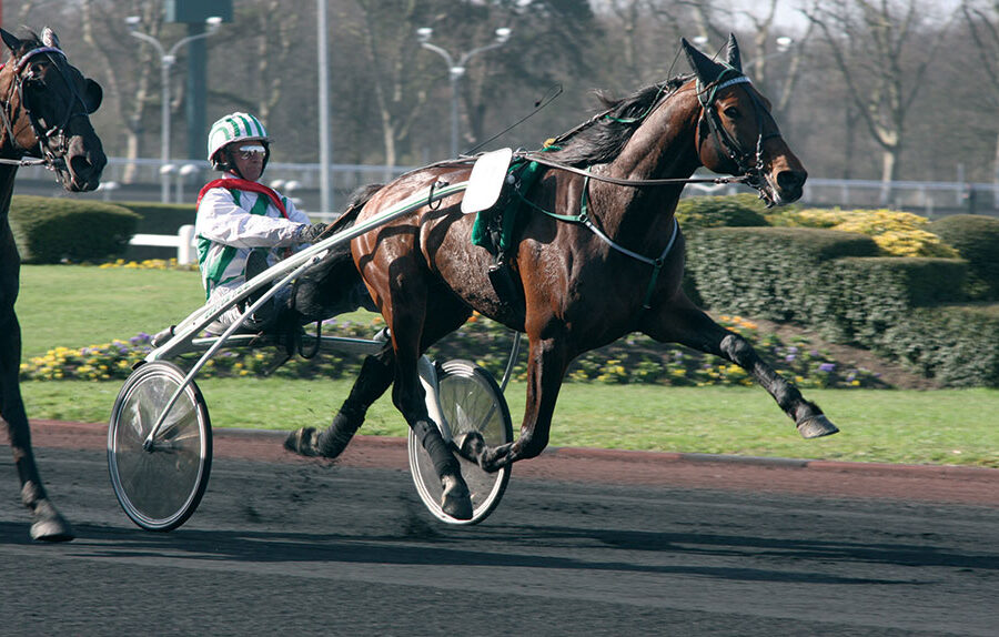 Comment gagner aux courses hippiques