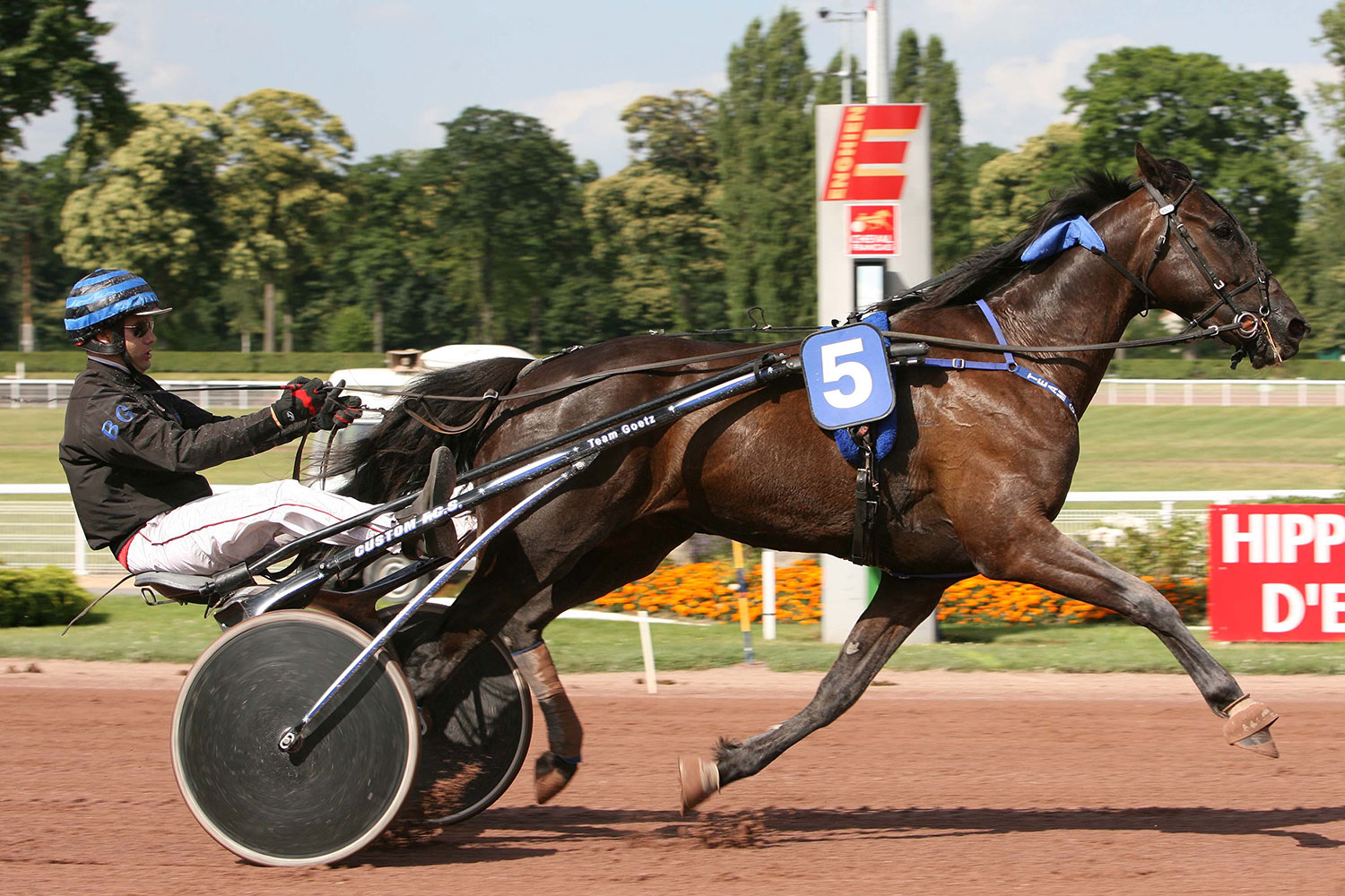 Est-il possible de gagner aux courses hippiques ? Dans quelles conditions ? Jeu Simple Placé